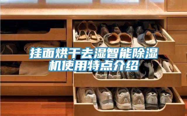 掛面烘干去濕智能除濕機使用特點(diǎn)介紹