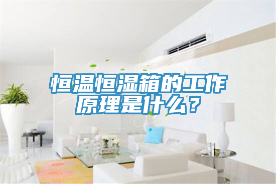 恒溫恒濕箱的工作原理是什么？
