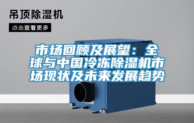 市場(chǎng)回顧及展望：全球與中國冷凍除濕機市場(chǎng)現狀及未來(lái)發(fā)展趨勢