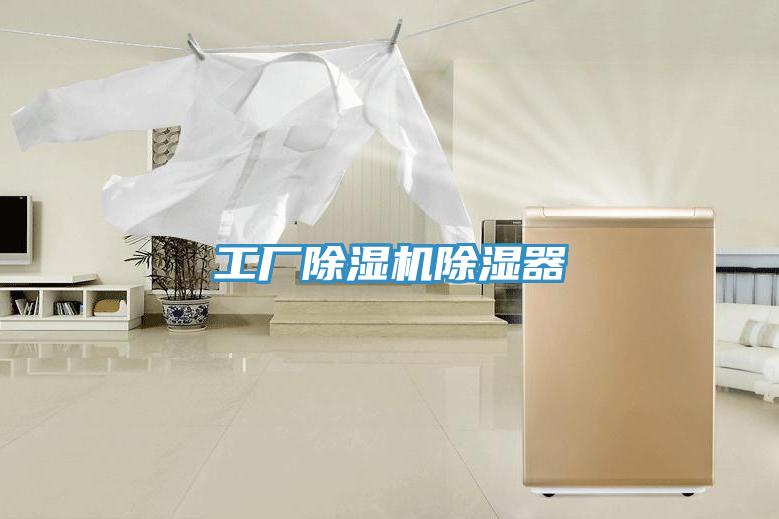 工廠(chǎng)除濕機除濕器