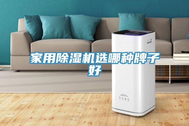 家用除濕機選哪種牌子好