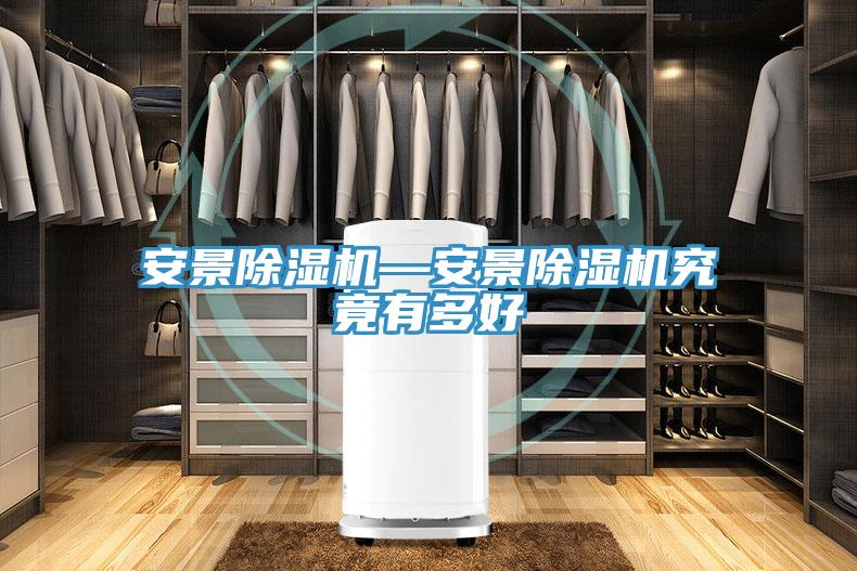 安景除濕機—安景除濕機究竟有多好