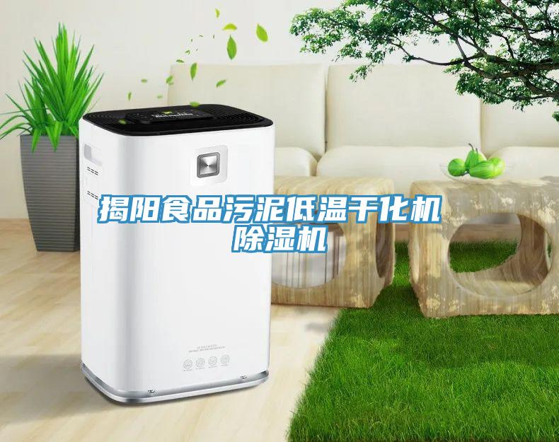 揭陽(yáng)食品污泥低溫干化機 除濕機