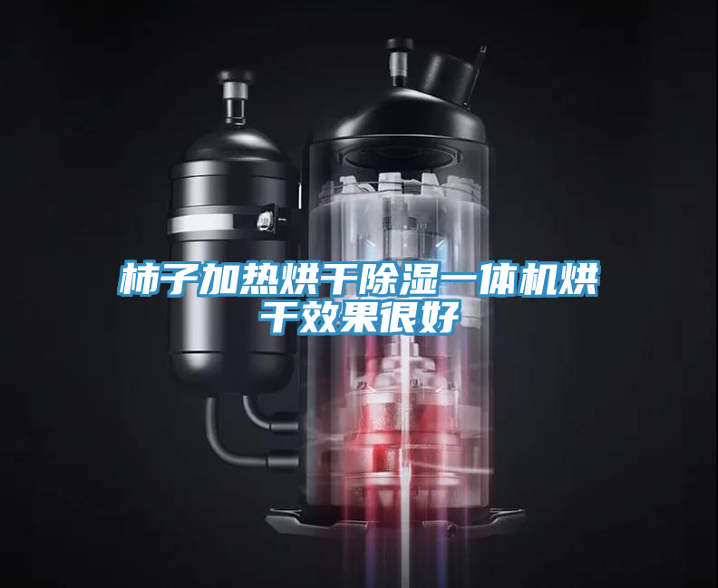 柿子加熱烘干除濕一體機烘干效果很好