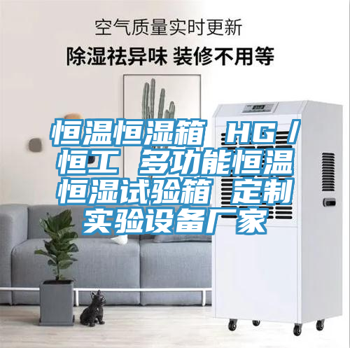 恒溫恒濕箱 HG／恒工 多功能恒溫恒濕試驗箱 定制實(shí)驗設備廠(chǎng)家