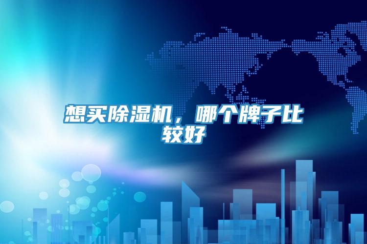 想買(mǎi)除濕機，哪個(gè)牌子比較好