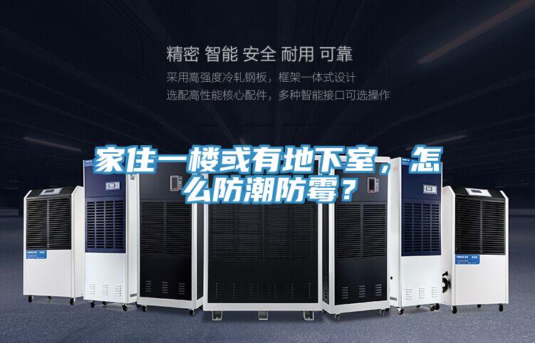 家住一樓或有地下室，怎么防潮防霉？