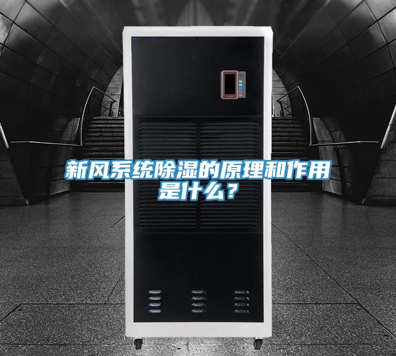 新風(fēng)系統除濕的原理和作用是什么？