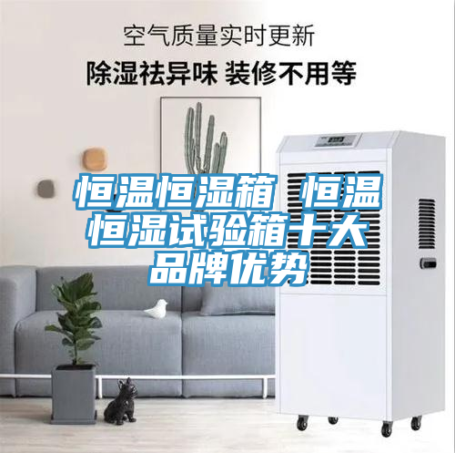 恒溫恒濕箱 恒溫恒濕試驗箱十大品牌優(yōu)勢