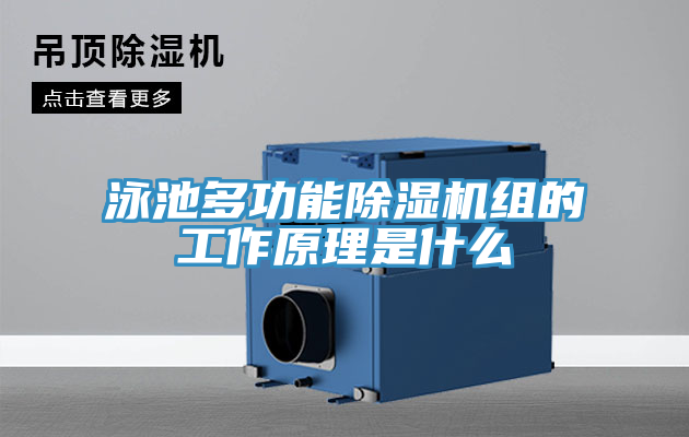 泳池多功能除濕機組的工作原理是什么
