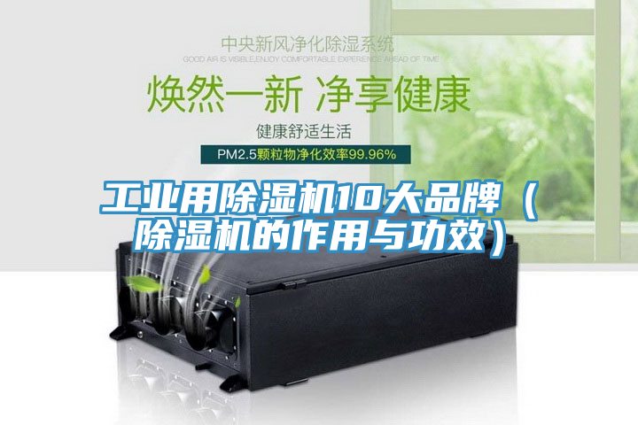 工業(yè)用除濕機10大品牌（除濕機的作用與功效）