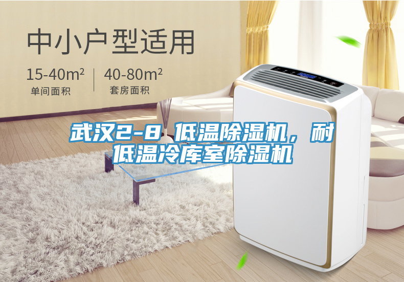 武漢2-8℃低溫除濕機，耐低溫冷庫室除濕機