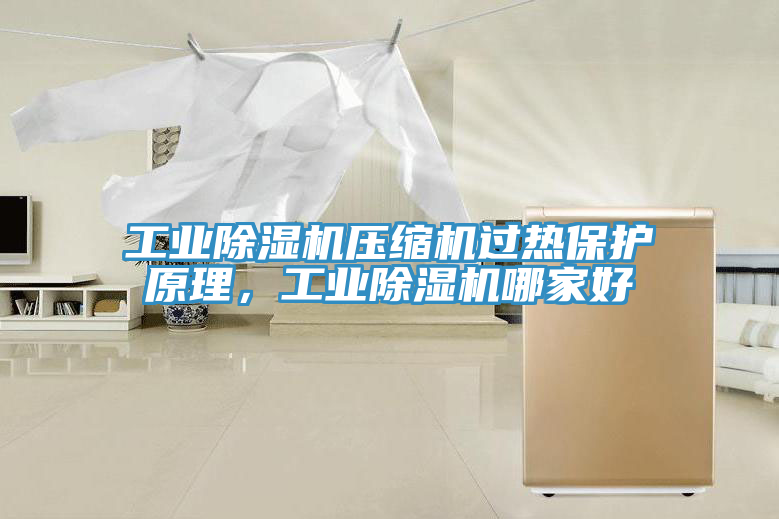 工業(yè)除濕機壓縮機過(guò)熱保護原理，工業(yè)除濕機哪家好
