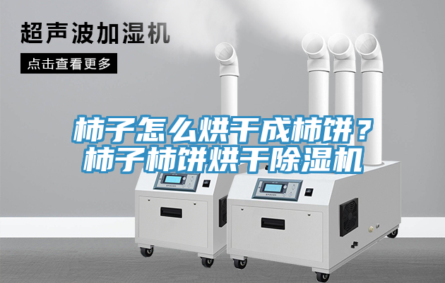 柿子怎么烘干成柿餅？柿子柿餅烘干除濕機