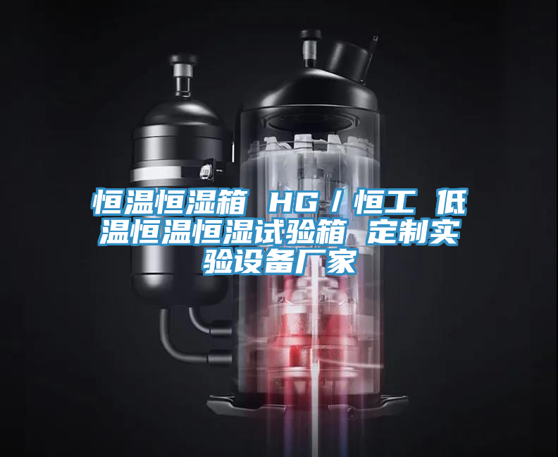 恒溫恒濕箱 HG／恒工 低溫恒溫恒濕試驗箱 定制實(shí)驗設備廠(chǎng)家
