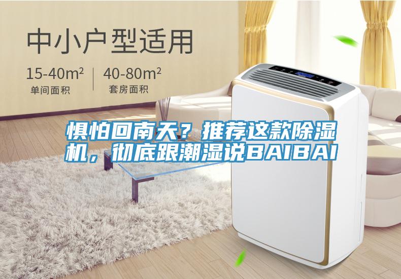 懼怕回南天？推薦這款除濕機，徹底跟潮濕說(shuō)BAIBAI
