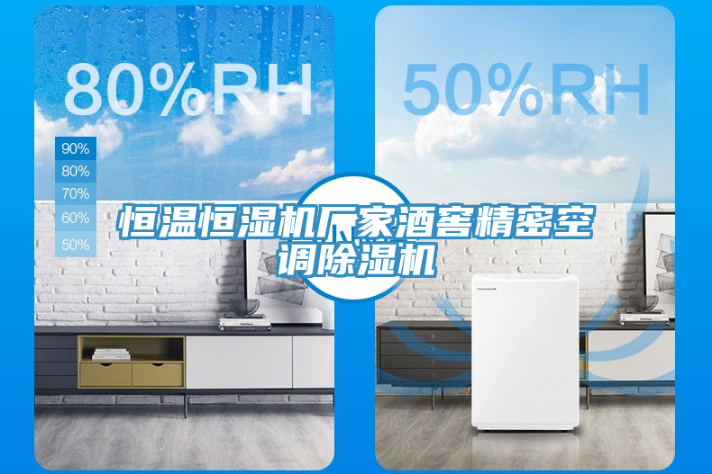 恒溫恒濕機廠(chǎng)家酒窖精密空調除濕機