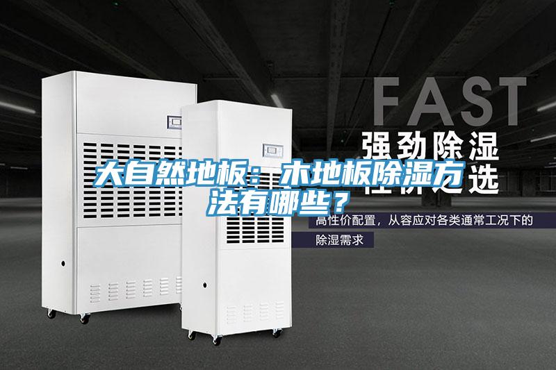 大自然地板：木地板除濕方法有哪些？