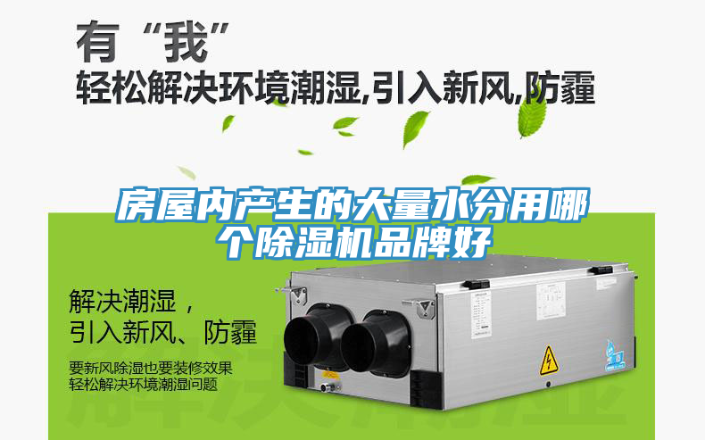 房屋內產(chǎn)生的大量水分用哪個(gè)除濕機品牌好