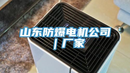 山東防爆電機公司｜廠(chǎng)家