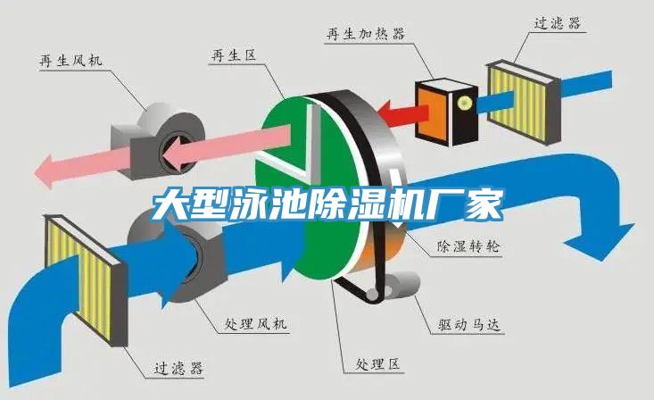 大型泳池除濕機廠(chǎng)家