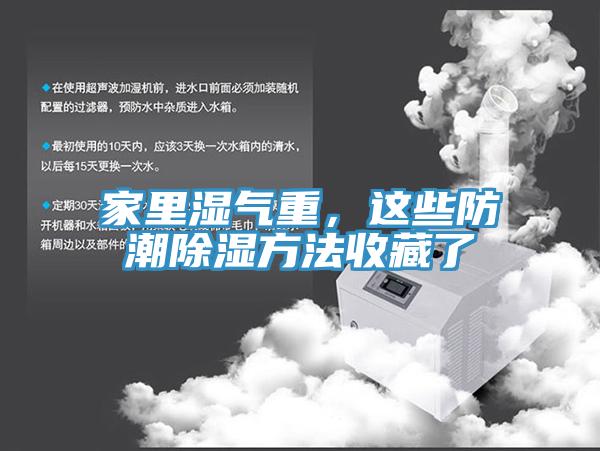 家里濕氣重，這些防潮除濕方法收藏了