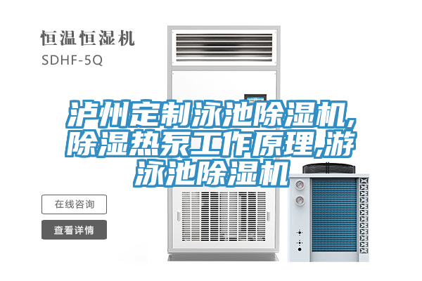 瀘州定制泳池除濕機,除濕熱泵工作原理,游泳池除濕機