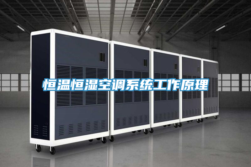 恒溫恒濕空調系統工作原理