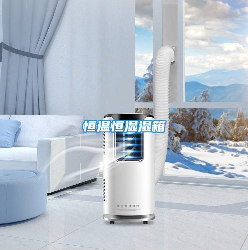 恒溫恒濕濕箱
