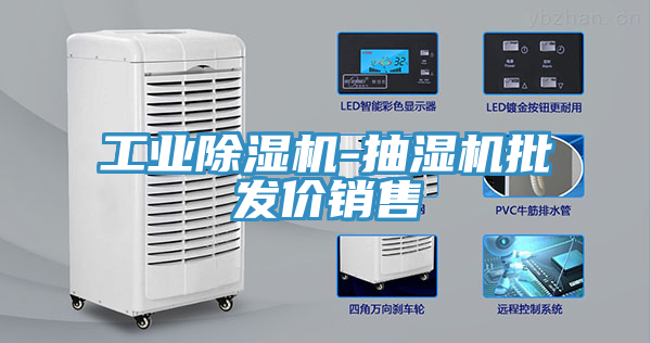 工業(yè)除濕機-抽濕機批發(fā)價(jià)銷(xiāo)售