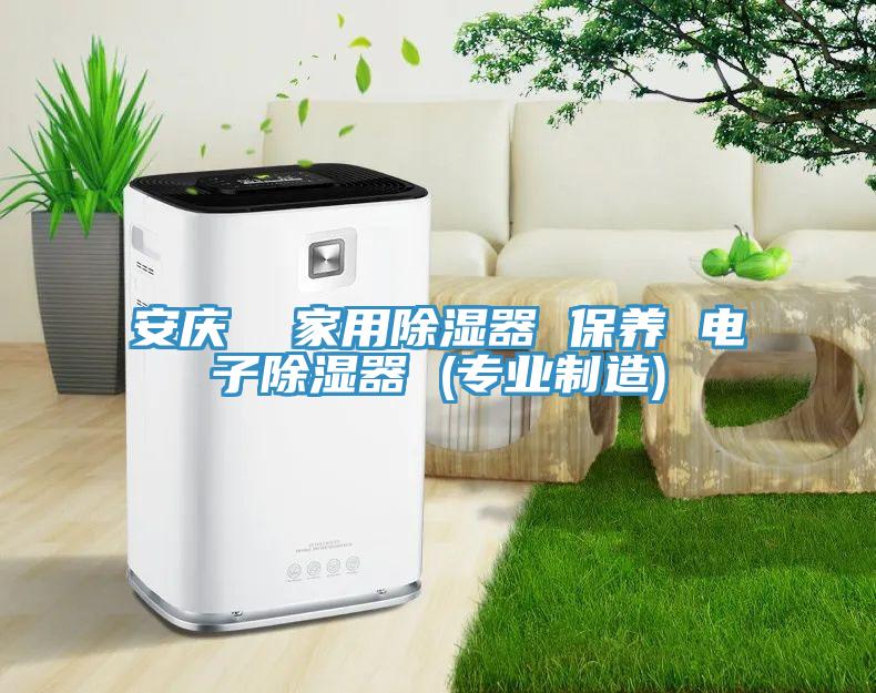 安慶  家用除濕器 保養 電子除濕器 (專(zhuān)業(yè)制造)