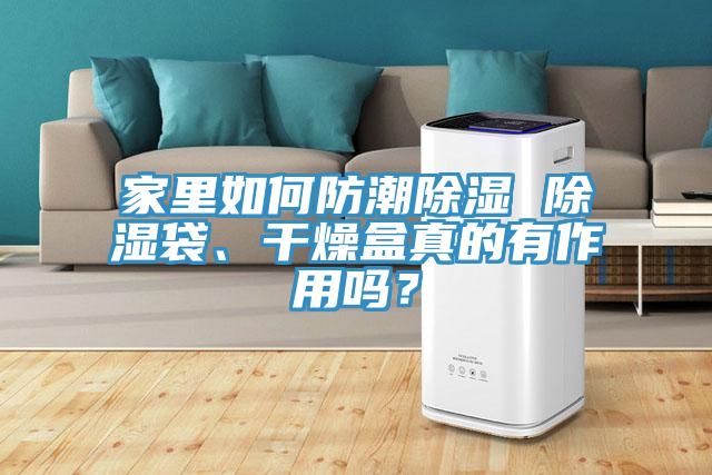 家里如何防潮除濕 除濕袋、干燥盒真的有作用嗎？