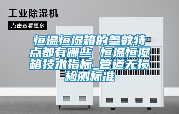 恒溫恒濕箱的參數特點(diǎn)都有哪些 恒溫恒濕箱技術(shù)指標_管道無(wú)損檢測標準