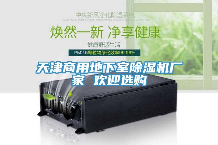 天津商用地下室除濕機廠(chǎng)家 歡迎選購