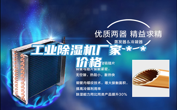 工業(yè)除濕機廠(chǎng)家＊＊價(jià)格