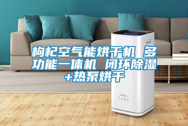 枸杞空氣能烘干機 多功能一體機 閉環(huán)除濕+熱泵烘干