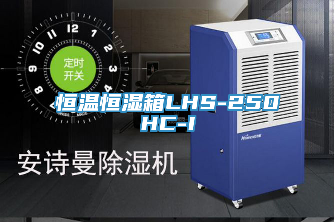 恒溫恒濕箱LHS-250HC-I