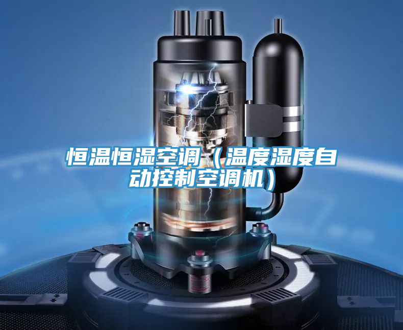恒溫恒濕空調（溫度濕度自動(dòng)控制空調機）