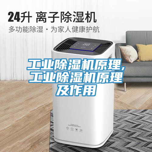 工業(yè)除濕機原理,工業(yè)除濕機原理及作用