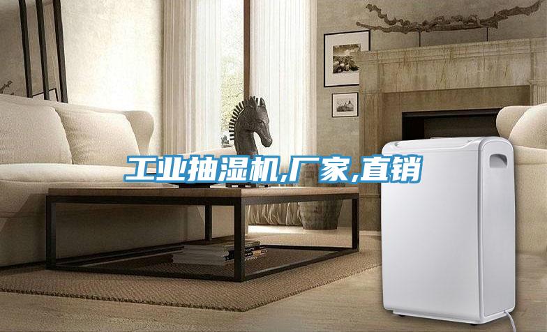 工業(yè)抽濕機,廠(chǎng)家,直銷(xiāo)