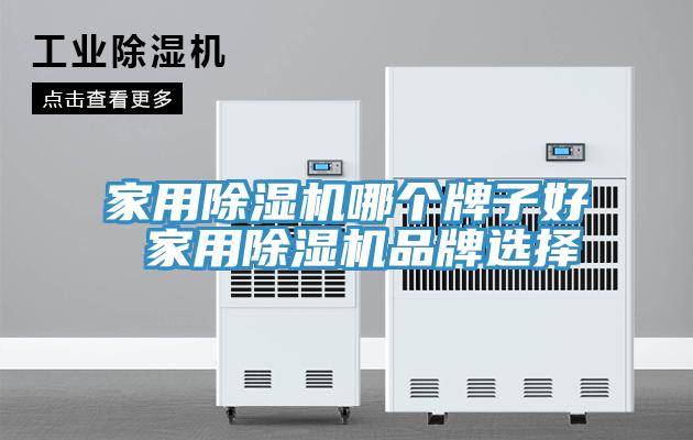 家用除濕機哪個(gè)牌子好 家用除濕機品牌選擇