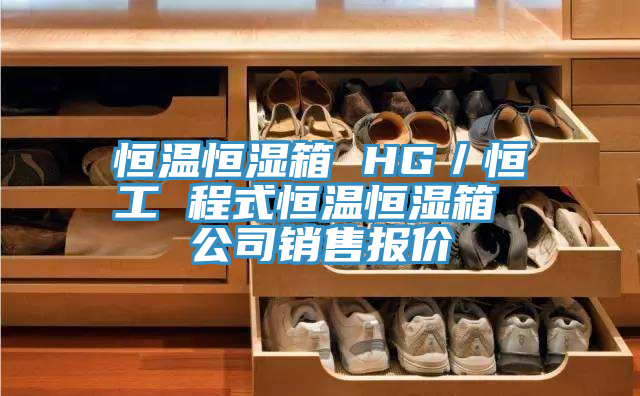 恒溫恒濕箱 HG／恒工 程式恒溫恒濕箱 公司銷(xiāo)售報價(jià)