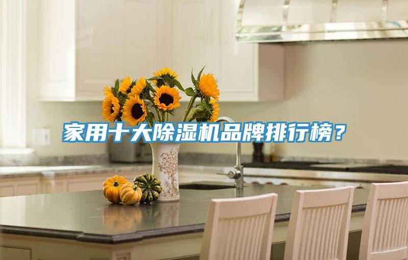 家用十大除濕機品牌排行榜？