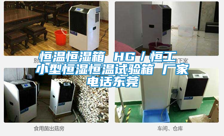 恒溫恒濕箱 HG／恒工 小型恒濕恒溫試驗箱 廠(chǎng)家電話(huà)東莞