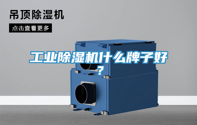 工業(yè)除濕機什么牌子好？