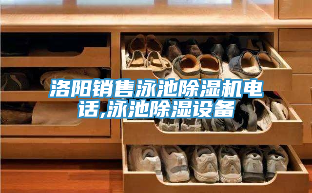 洛陽(yáng)銷(xiāo)售泳池除濕機電話(huà),泳池除濕設備