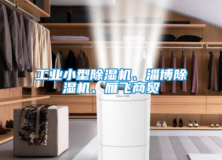 工業(yè)小型除濕機、淄博除濕機、雁飛商貿