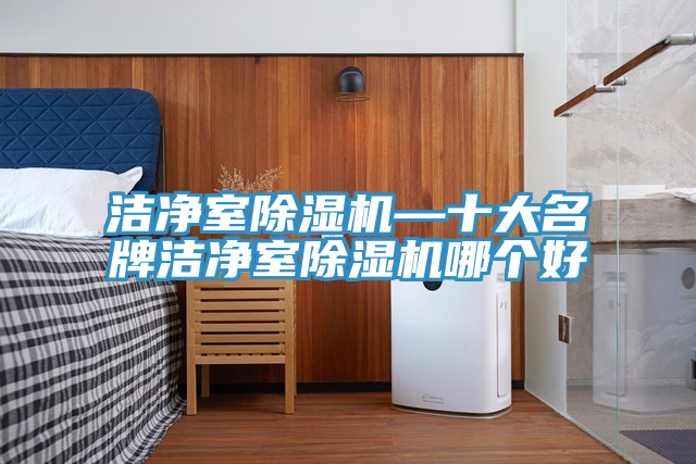 潔凈室除濕機—十大名牌潔凈室除濕機哪個(gè)好