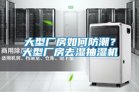 大型廠(chǎng)房如何防潮？大型廠(chǎng)房去濕抽濕機