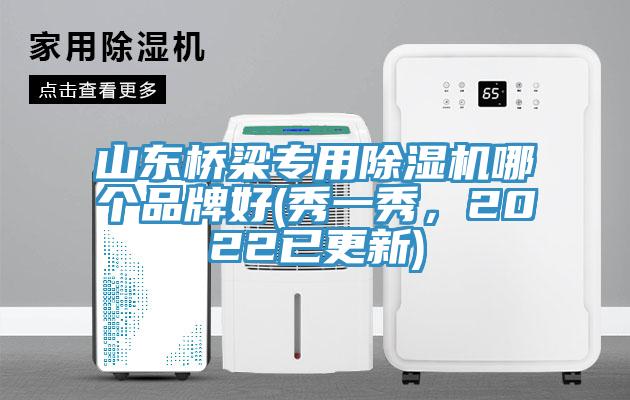 山東橋梁專(zhuān)用除濕機哪個(gè)品牌好(秀一秀，2022已更新)